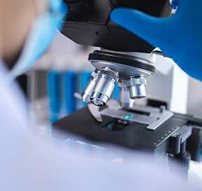 Combating Bacillus anthracis